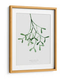 Muérdago de acuarela - Rosana Laiz Blursbyai | Cuadro decorativo de Canvas Lab