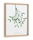 Muérdago de acuarela - Rosana Laiz Blursbyai | Cuadro decorativo de Canvas Lab