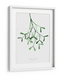 Muérdago de acuarela - Rosana Laiz Blursbyai | Cuadro decorativo de Canvas Lab