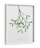 Muérdago de acuarela - Rosana Laiz Blursbyai | Cuadro decorativo de Canvas Lab