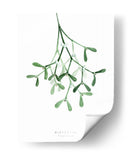 Muérdago de acuarela - Rosana Laiz Blursbyai | Cuadro decorativo de Canvas Lab