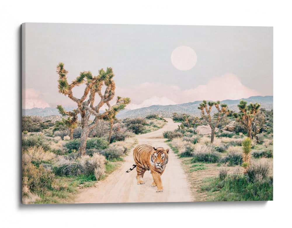 Tigre Errante - Kathrin Pienaar | Cuadro decorativo de Canvas Lab