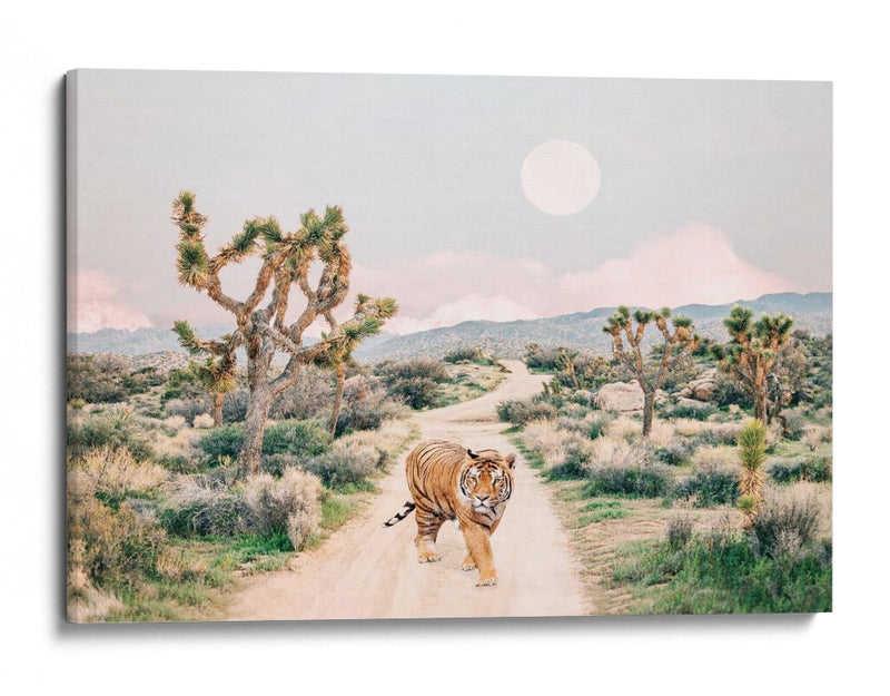Tigre Errante - Kathrin Pienaar | Cuadro decorativo de Canvas Lab