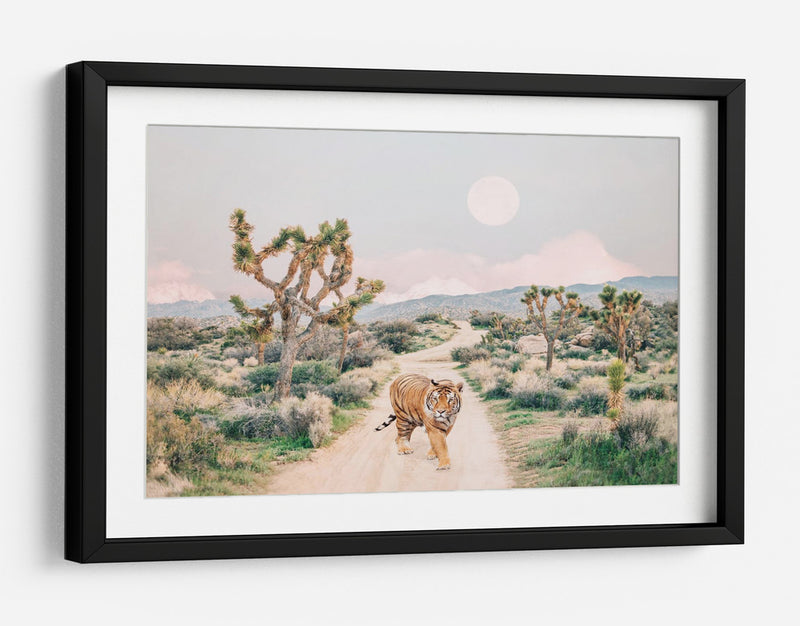 Tigre Errante - Kathrin Pienaar | Cuadro decorativo de Canvas Lab