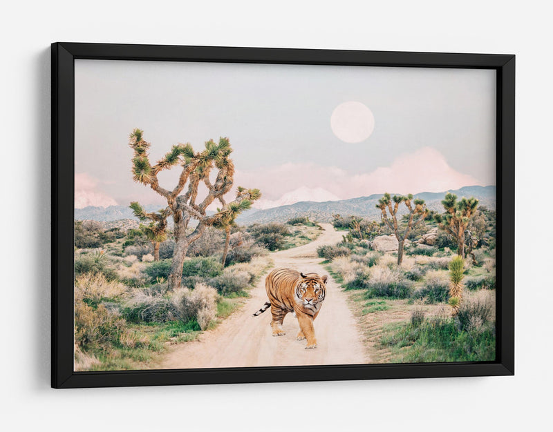 Tigre Errante - Kathrin Pienaar | Cuadro decorativo de Canvas Lab