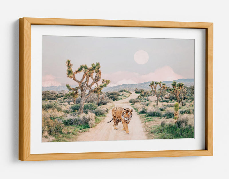 Tigre Errante - Kathrin Pienaar | Cuadro decorativo de Canvas Lab