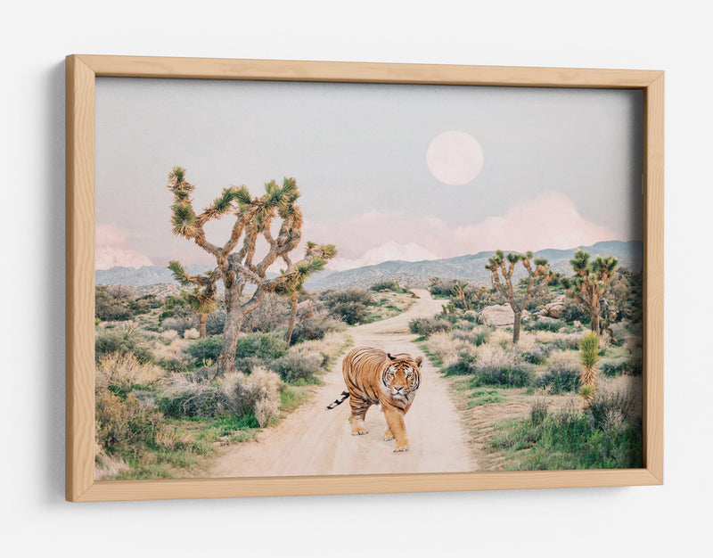 Tigre Errante - Kathrin Pienaar | Cuadro decorativo de Canvas Lab