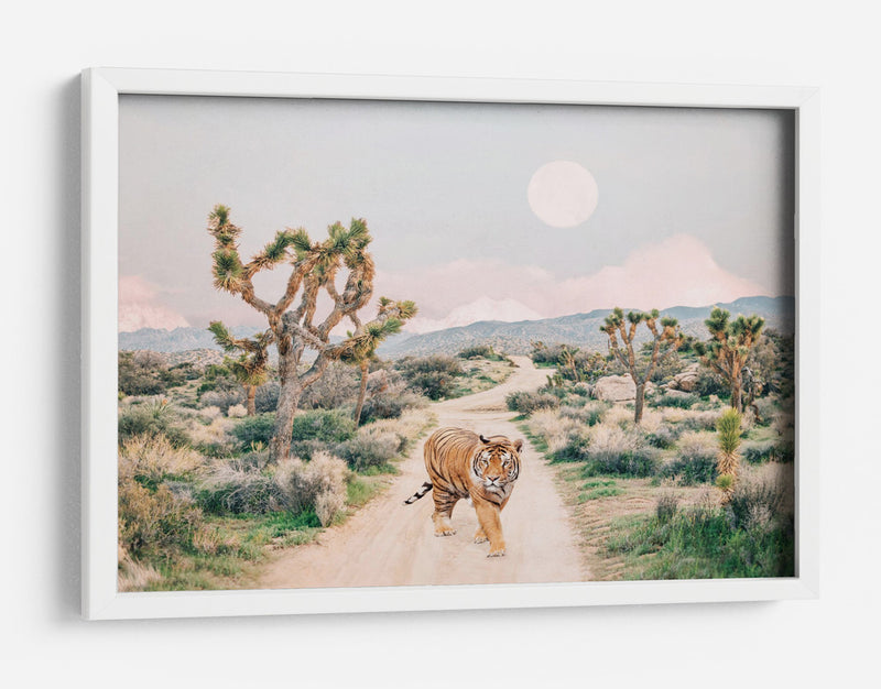 Tigre Errante - Kathrin Pienaar | Cuadro decorativo de Canvas Lab