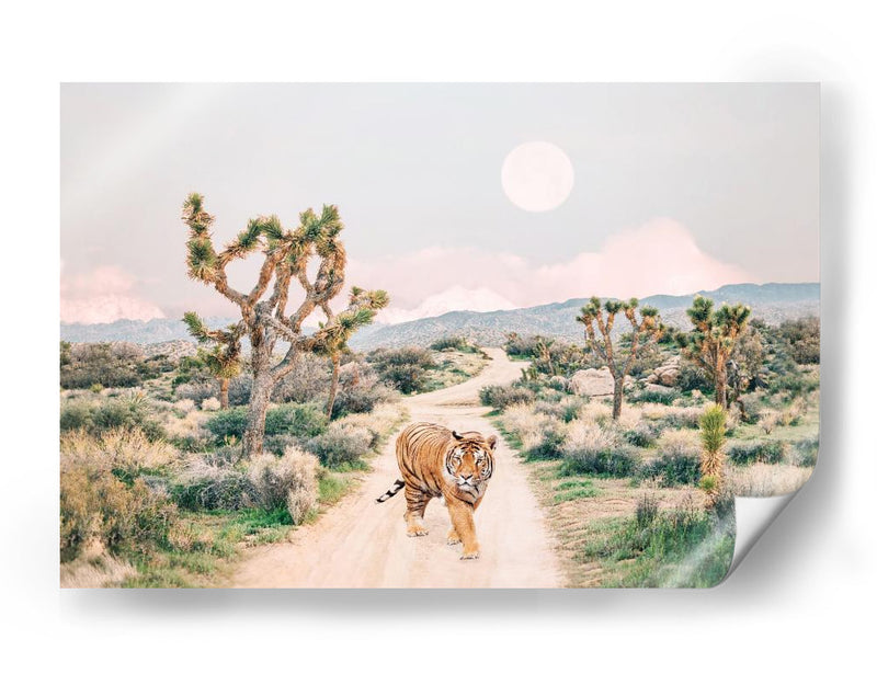 Tigre Errante - Kathrin Pienaar | Cuadro decorativo de Canvas Lab