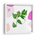 Pothos | Cuadro decorativo de Canvas Lab