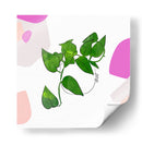 Pothos | Cuadro decorativo de Canvas Lab