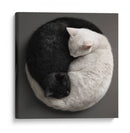 Ying Yang Cats  - Raúl Bermudez | Cuadro decorativo de Canvas Lab