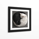 Ying Yang Cats  - Raúl Bermudez | Cuadro decorativo de Canvas Lab