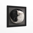 Ying Yang Cats  - Raúl Bermudez | Cuadro decorativo de Canvas Lab