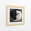 Ying Yang Cats  - Raúl Bermudez | Cuadro decorativo de Canvas Lab