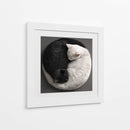 Ying Yang Cats  - Raúl Bermudez | Cuadro decorativo de Canvas Lab
