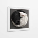 Ying Yang Cats  - Raúl Bermudez | Cuadro decorativo de Canvas Lab