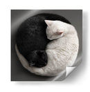 Ying Yang Cats  - Raúl Bermudez | Cuadro decorativo de Canvas Lab