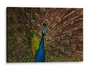 Los ojos del rey  - tijeraspics | Cuadro decorativo de Canvas Lab