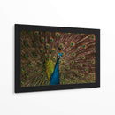 Los ojos del rey  - tijeraspics | Cuadro decorativo de Canvas Lab
