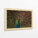 Los ojos del rey  - tijeraspics | Cuadro decorativo de Canvas Lab