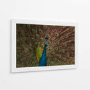Los ojos del rey  - tijeraspics | Cuadro decorativo de Canvas Lab