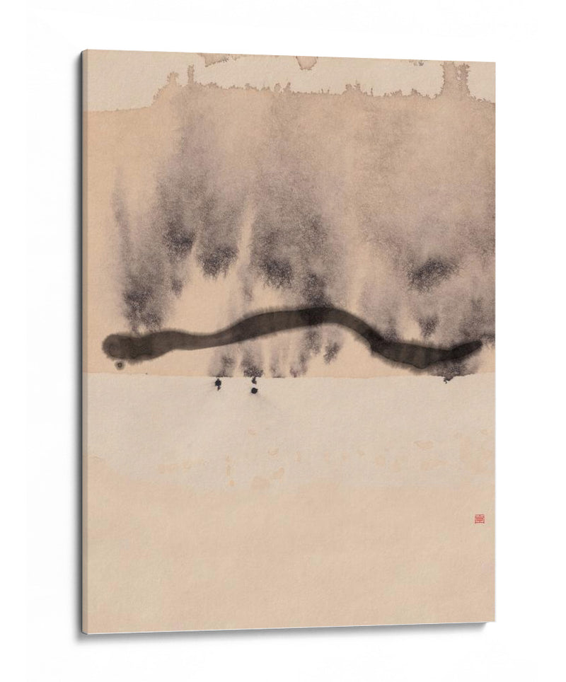 Study NAd11 | Proceso silencioso - Thoth Adan | Cuadro decorativo de Canvas Lab