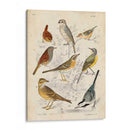 Reunión De Pájaros I - G. Lubbert | Cuadro decorativo de Canvas Lab