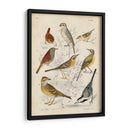Reunión De Pájaros I - G. Lubbert | Cuadro decorativo de Canvas Lab