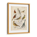 Reunión De Pájaros I - G. Lubbert | Cuadro decorativo de Canvas Lab