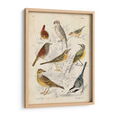 Reunión De Pájaros I - G. Lubbert | Cuadro decorativo de Canvas Lab