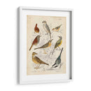 Reunión De Pájaros I - G. Lubbert | Cuadro decorativo de Canvas Lab