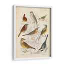 Reunión De Pájaros I - G. Lubbert | Cuadro decorativo de Canvas Lab