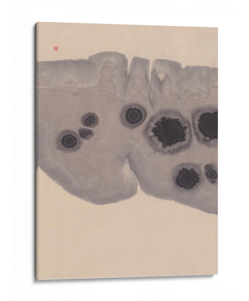 Estudio NAd7 | Epidermis - Thoth Adan | Cuadro decorativo de Canvas Lab