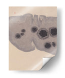 Estudio NAd7 | Epidermis - Thoth Adan | Cuadro decorativo de Canvas Lab