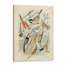 Reunión De Aves Ii - G. Lubbert | Cuadro decorativo de Canvas Lab