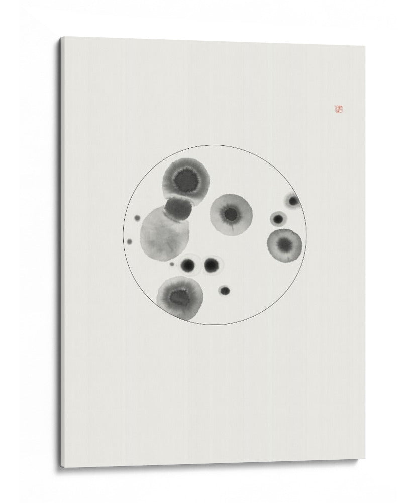 Placa de Petri - Thoth Adan | Cuadro decorativo de Canvas Lab