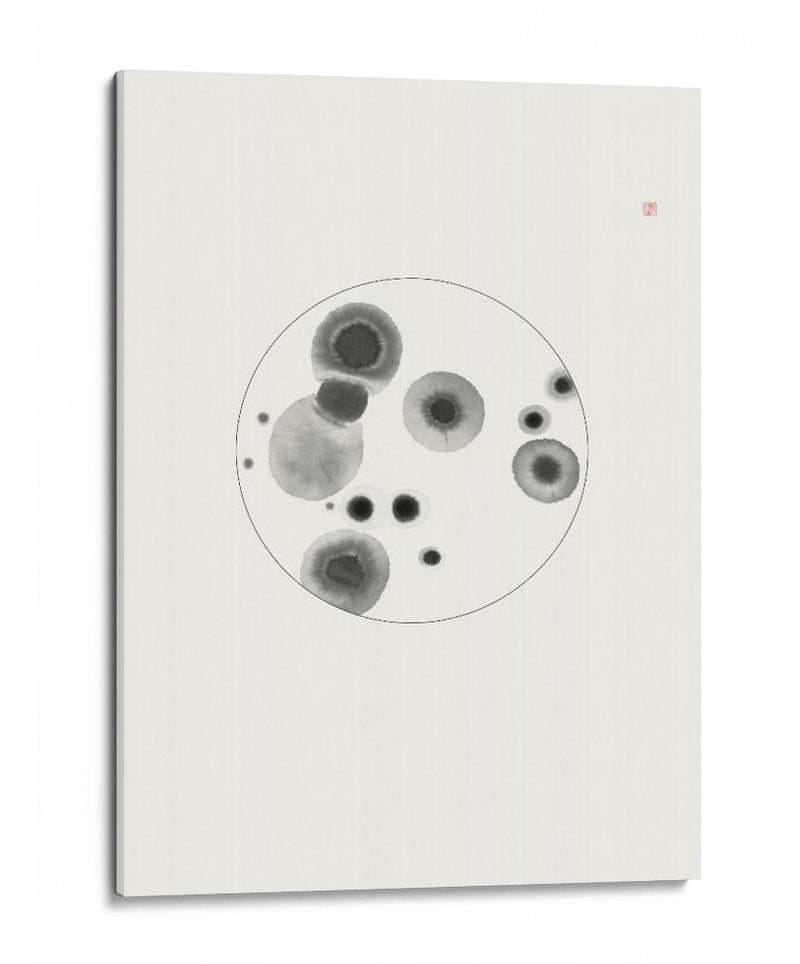 Placa de Petri - Thoth Adan | Cuadro decorativo de Canvas Lab