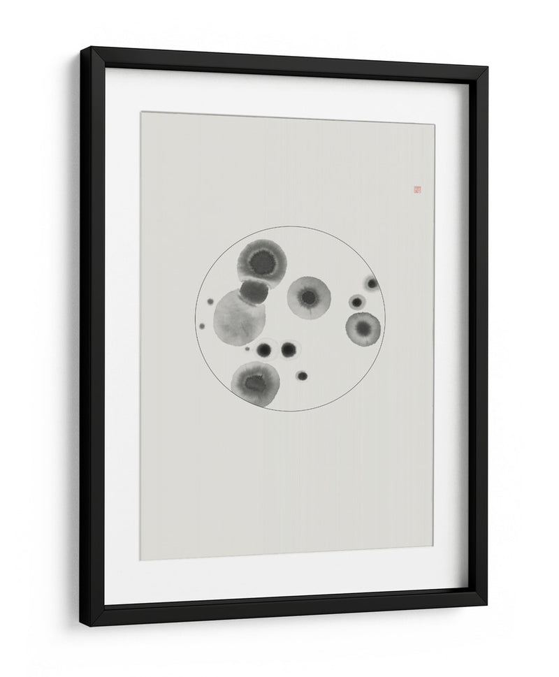 Placa de Petri - Thoth Adan | Cuadro decorativo de Canvas Lab