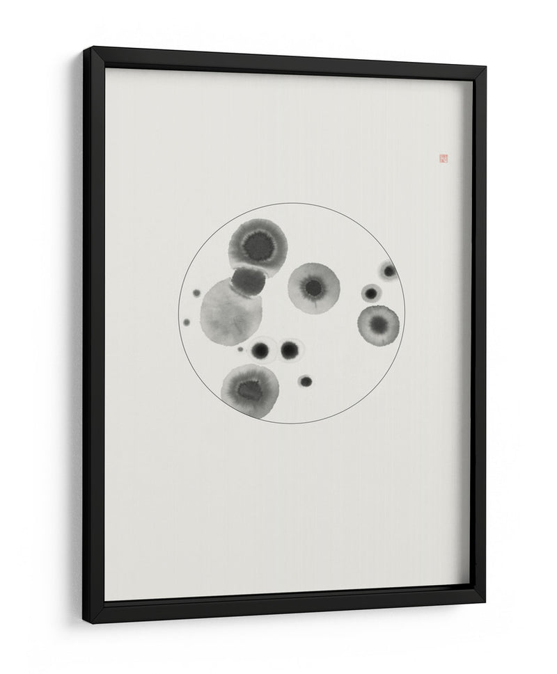 Placa de Petri - Thoth Adan | Cuadro decorativo de Canvas Lab