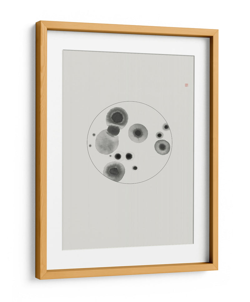 Placa de Petri - Thoth Adan | Cuadro decorativo de Canvas Lab