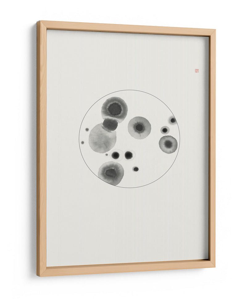 Placa de Petri - Thoth Adan | Cuadro decorativo de Canvas Lab