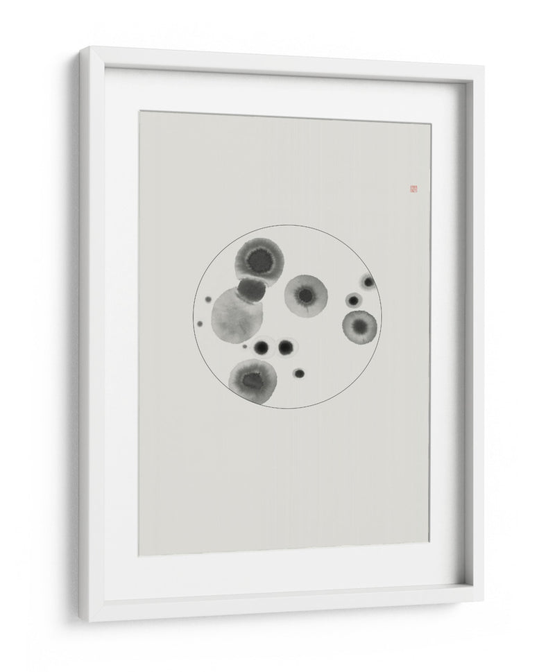 Placa de Petri - Thoth Adan | Cuadro decorativo de Canvas Lab