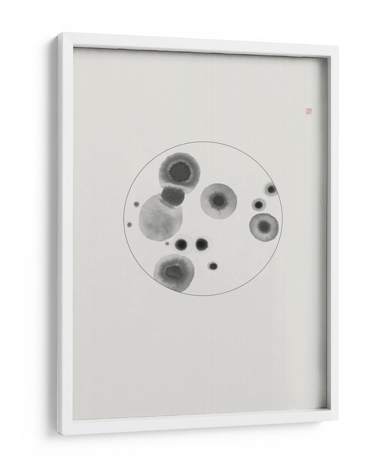 Placa de Petri - Thoth Adan | Cuadro decorativo de Canvas Lab