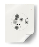 Placa de Petri - Thoth Adan | Cuadro decorativo de Canvas Lab