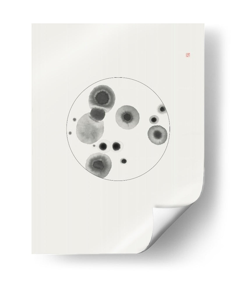 Placa de Petri - Thoth Adan | Cuadro decorativo de Canvas Lab