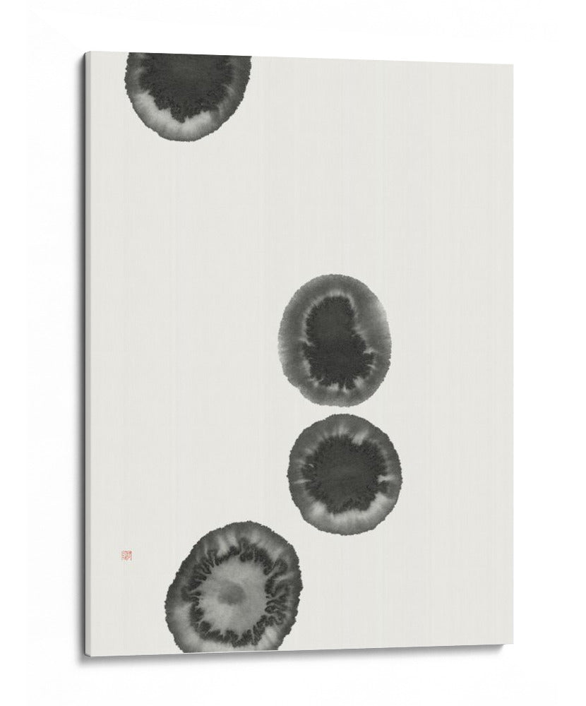 Islas Atolones - Thoth Adan | Cuadro decorativo de Canvas Lab