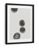 Islas Atolones - Thoth Adan | Cuadro decorativo de Canvas Lab