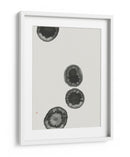 Islas Atolones - Thoth Adan | Cuadro decorativo de Canvas Lab