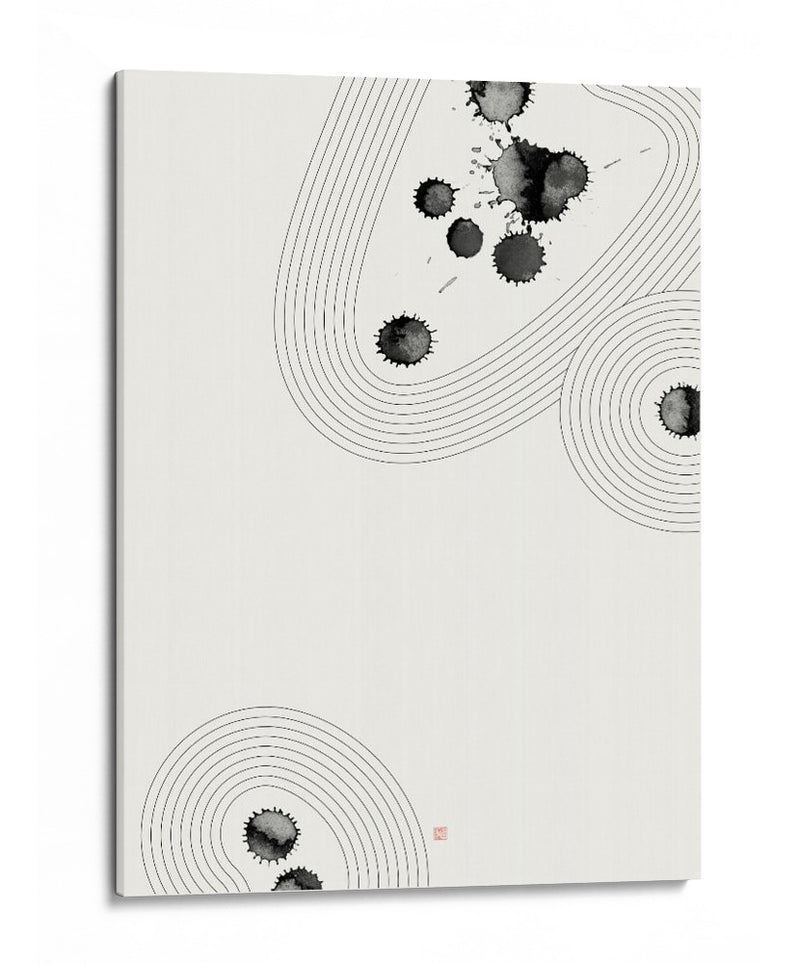 Jardín Zen Accidental NAd3 - Thoth Adan | Cuadro decorativo de Canvas Lab